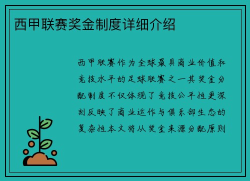 西甲联赛奖金制度详细介绍