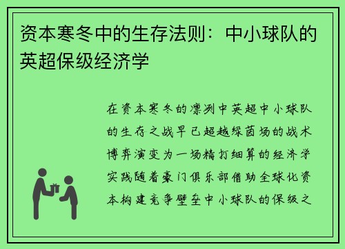 资本寒冬中的生存法则：中小球队的英超保级经济学